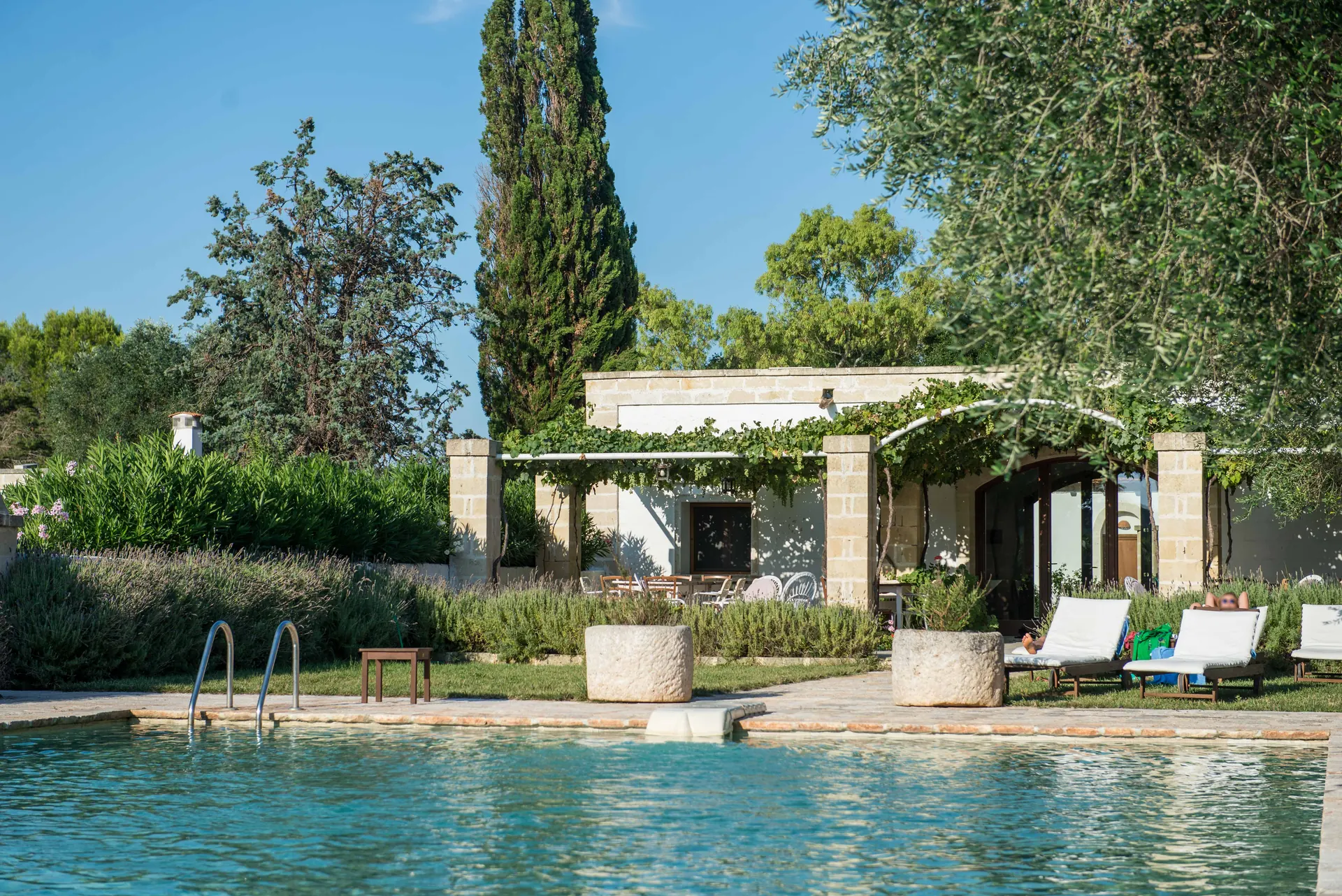 La piscina tra ulivi e macchia mediterranea